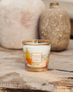 Baobab My First Baobab A St Tropez Candle