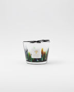 Baobab Rainforest Amazonia Candle