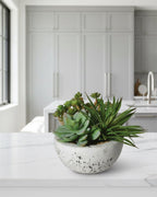 Assorted Green Succulents Arranged in Grey Cement Bowl