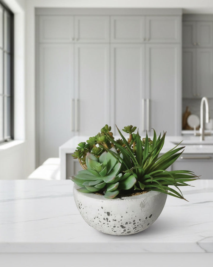 Assorted Green Succulents Arranged in Grey Cement Bowl