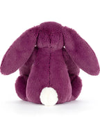 Bashful Allium Bunny