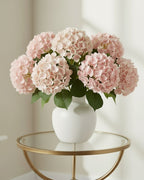 Blush Real Feel Hydrangea with Leaves