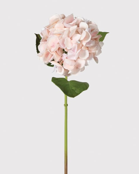 Blush Real Feel Hydrangea with Leaves