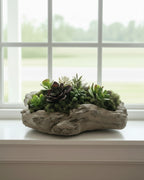 Succulent Planter