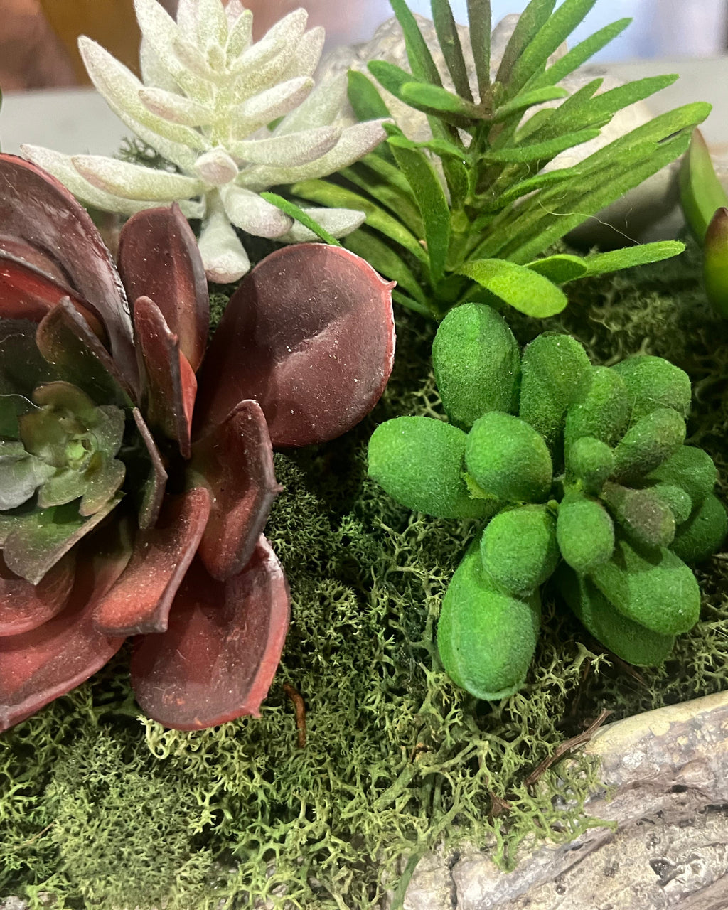 Succulent Planter