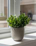 Charcoal Medium Cachepot