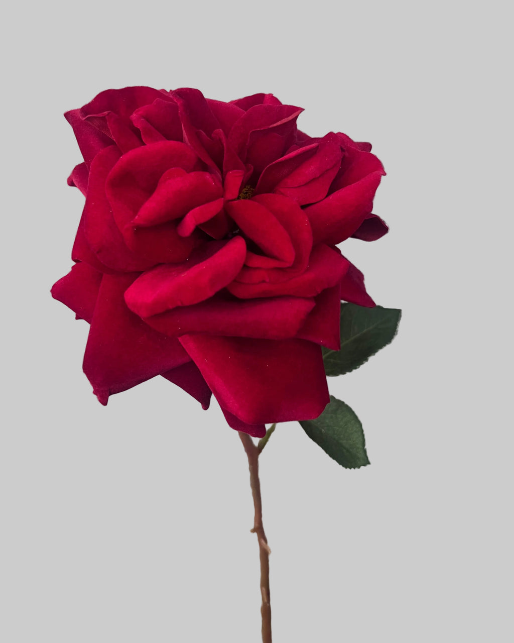 Red Velvet Rose Stem was £8.75 Now