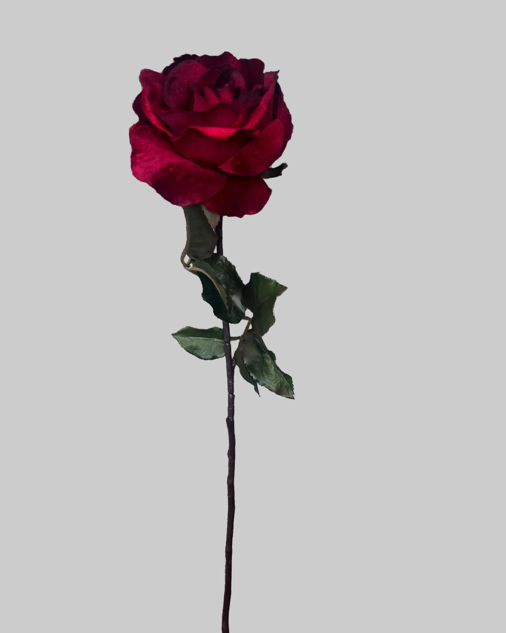 Large Velvet Red Rose was £8.50 Now