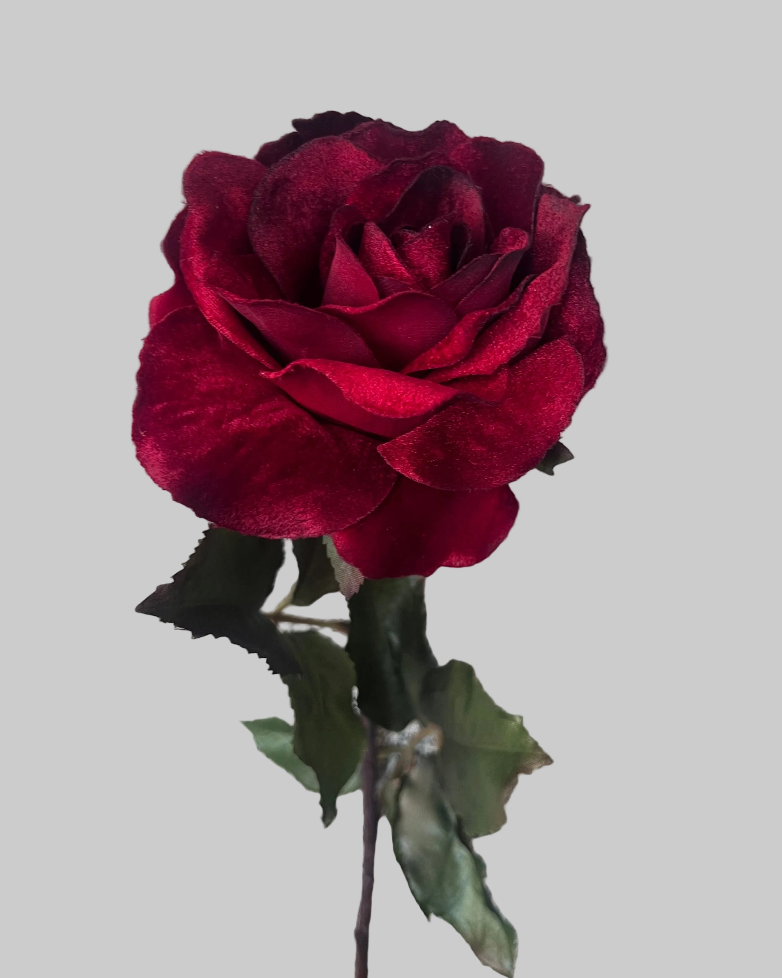 Large Velvet Red Rose was £8.50 Now