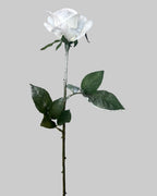 White Rose Stem Was £7.95 Now