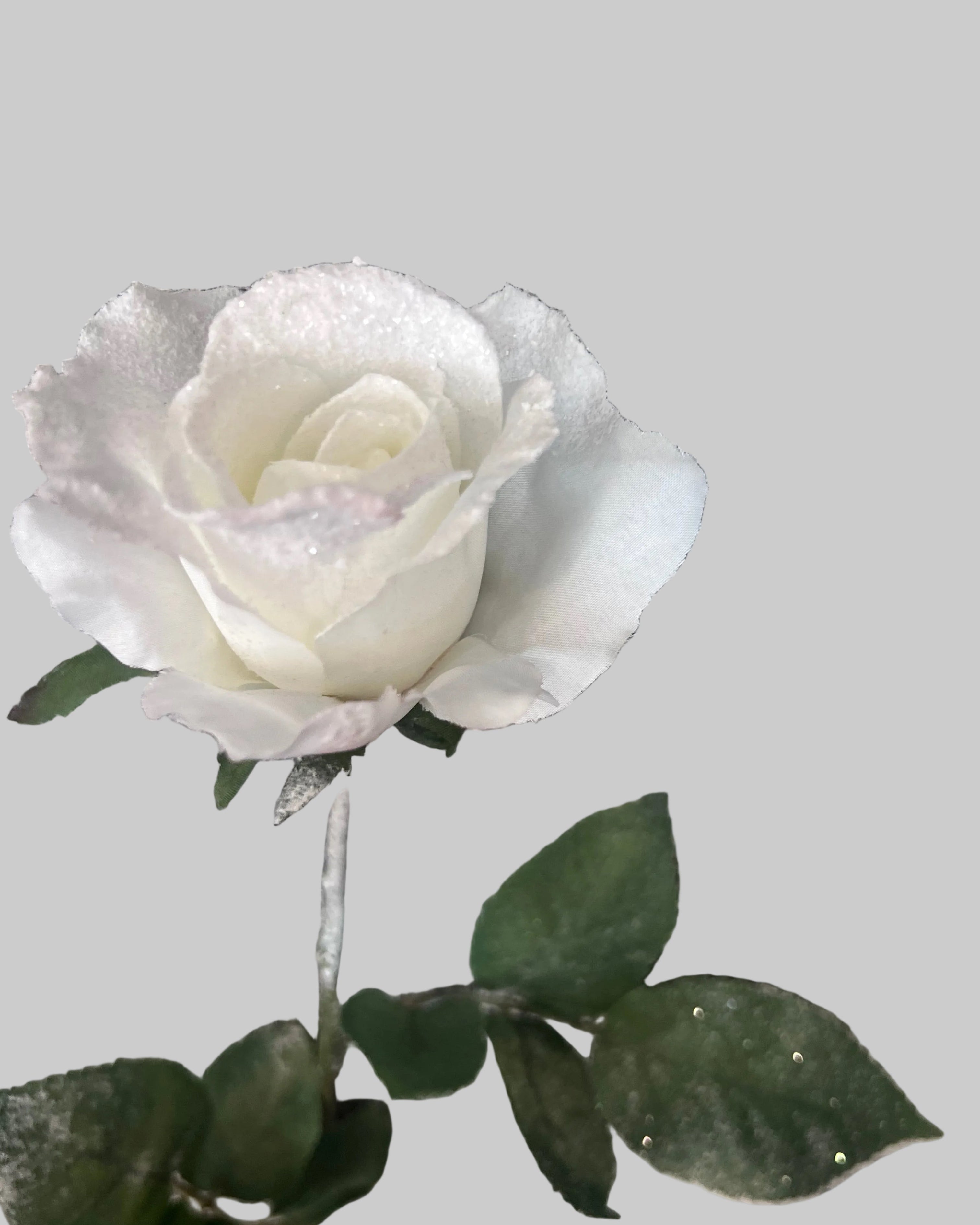 White Rose Stem Was £7.95 Now