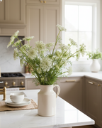 White Queen Anne's Lace