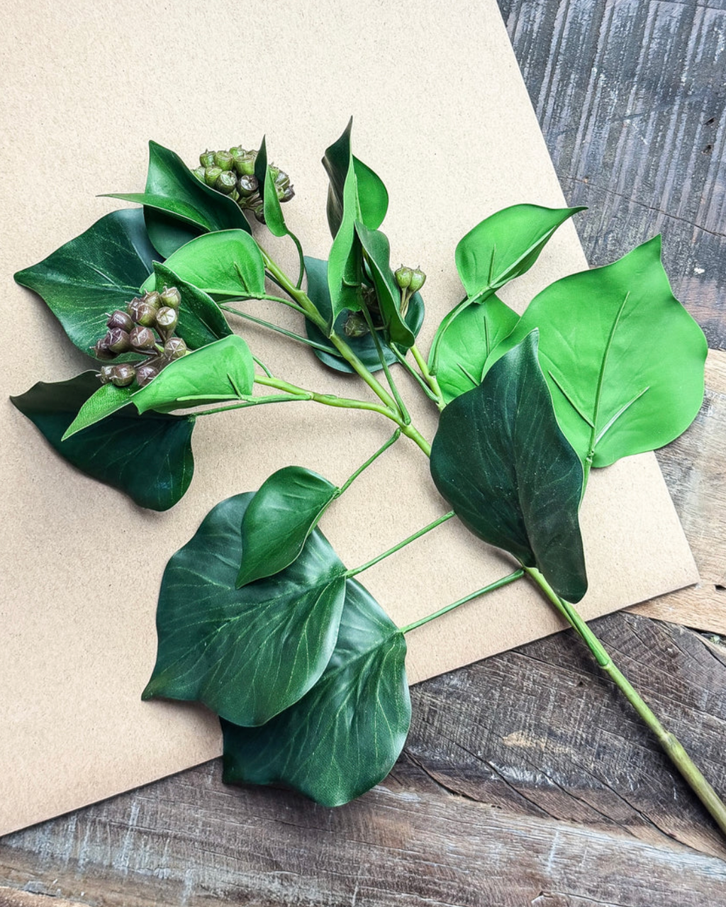 Natural Ivy Leaf With Seeds
