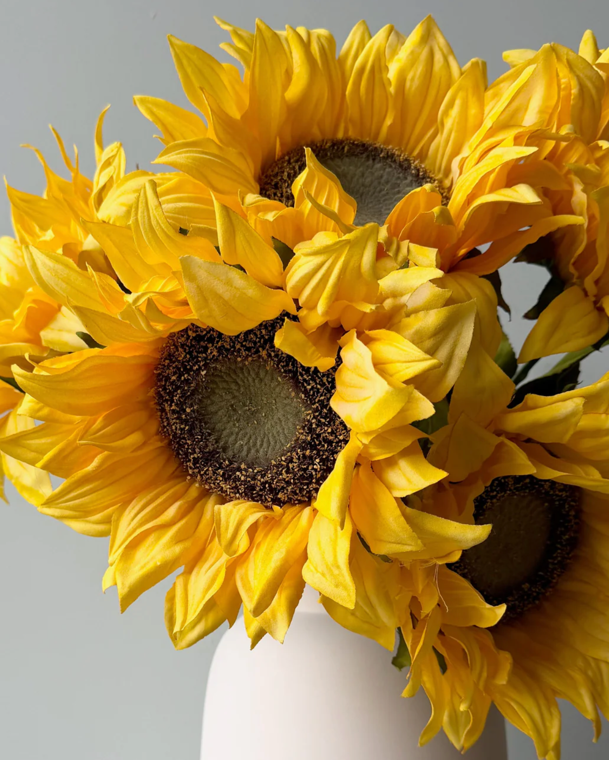 Giant Yellow Sunflower