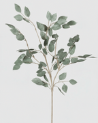 Large Eucalyptus Spray