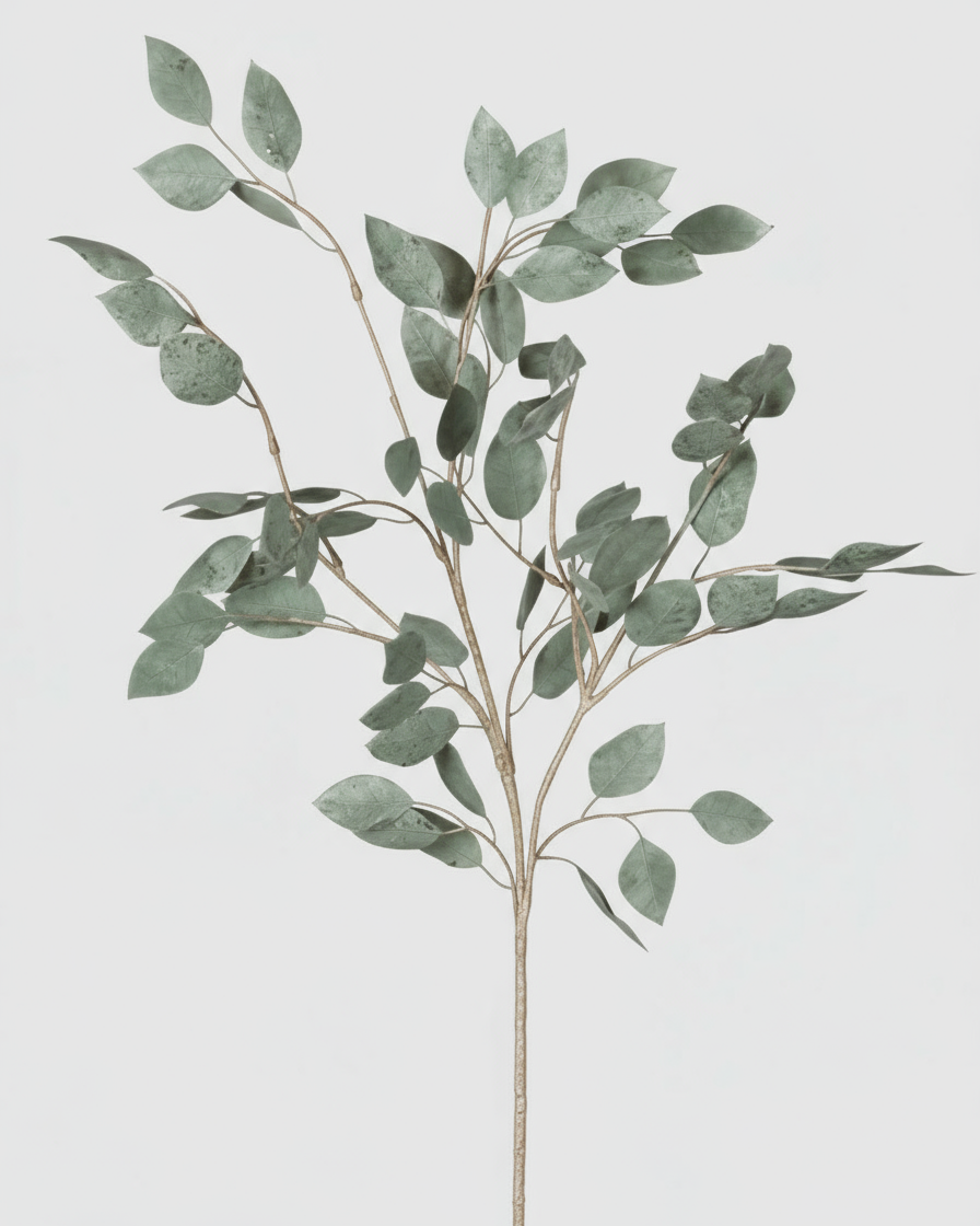 Large Eucalyptus Spray