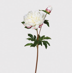 White Real Feel Open Peony with Bud and Leaves