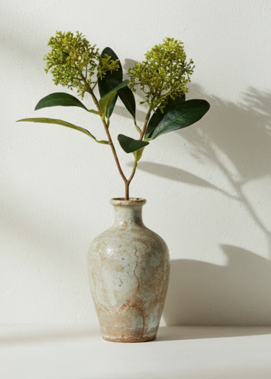 Green Skimmia Spray with Leaves