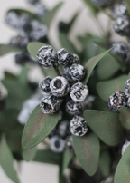 Natural Eucalyptus Berry Spray