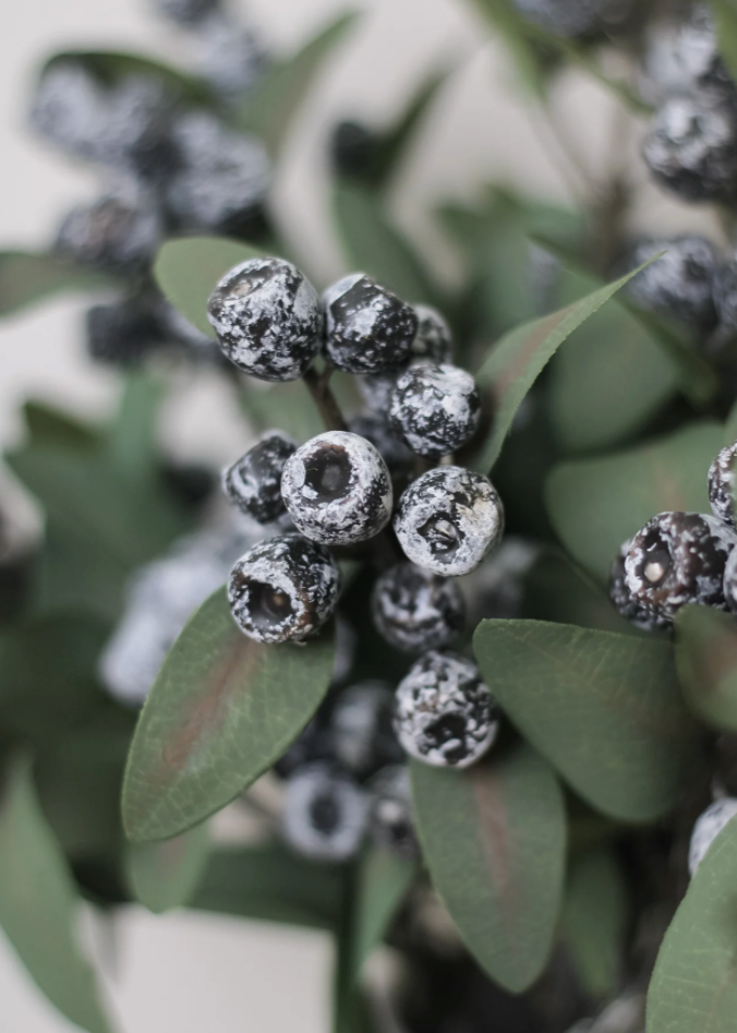 Natural Eucalyptus Berry Spray