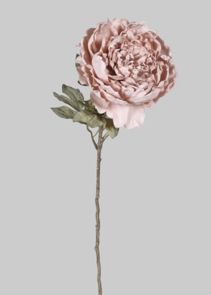 Dusky Pink Peony Spray with Leaves