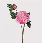 Blush Pink Peony Spray with Leaves
