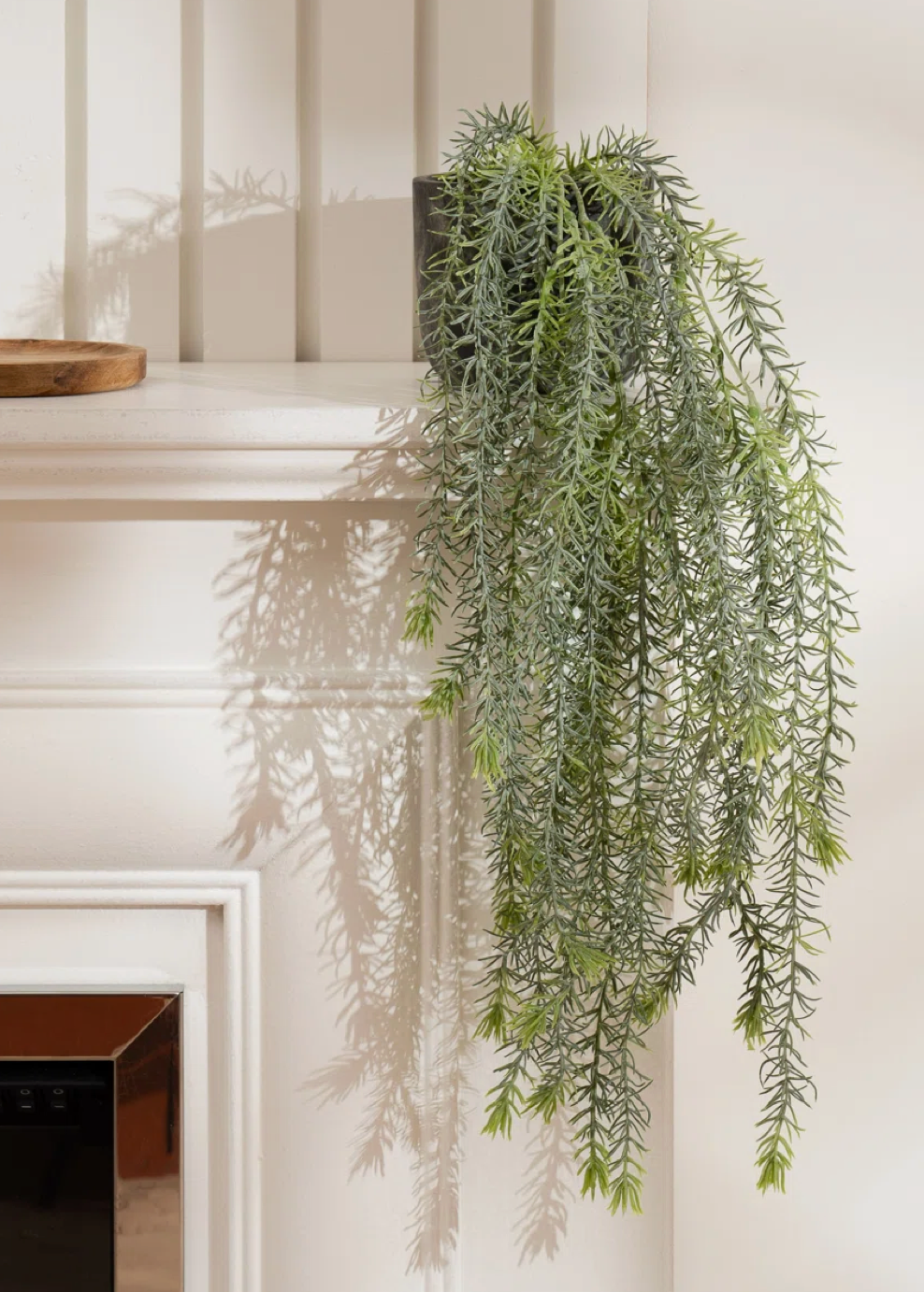 Trailing Rosemary Stem