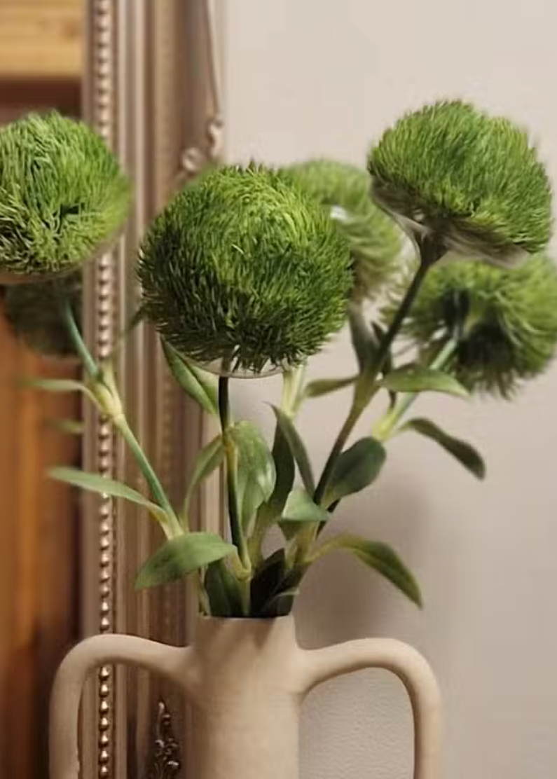 Dianthus Barbatus Green Ball