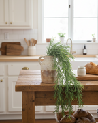 Trailing Rosemary Stem