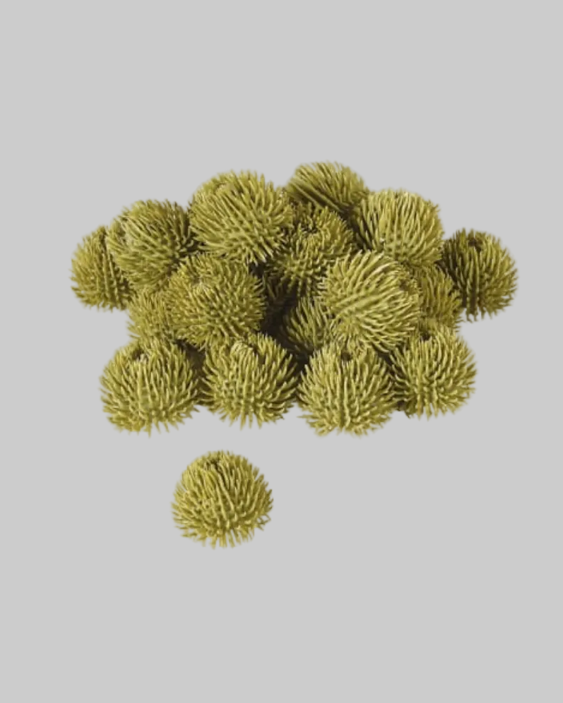 Green Echinops Balls