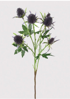 Eryngium Thistle Spray with Leaves