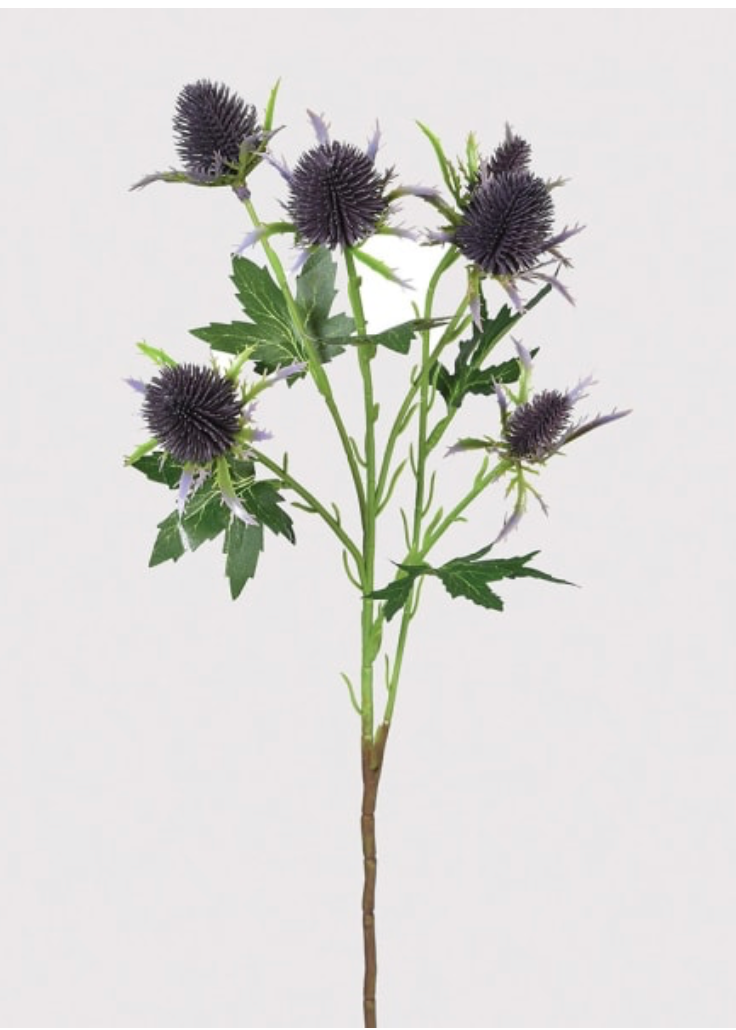 Eryngium Thistle Spray with Leaves
