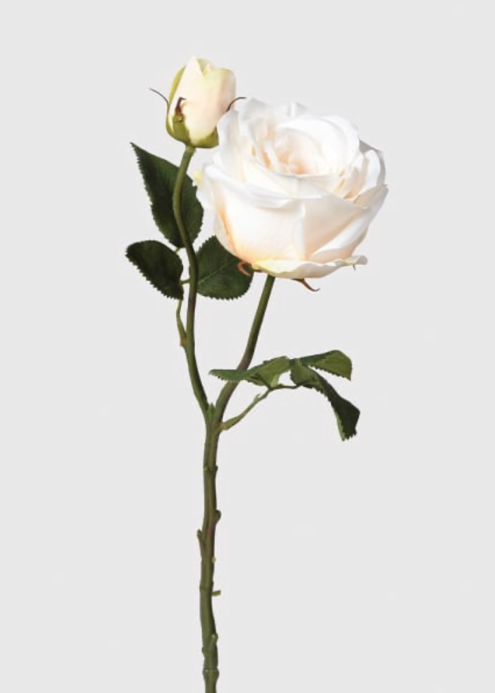 Pale Peach Vendela Rose Spray with Leaves