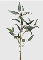 Berry Eucalyptus Spray