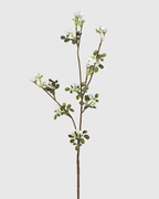 White Flower Stem With Leaves