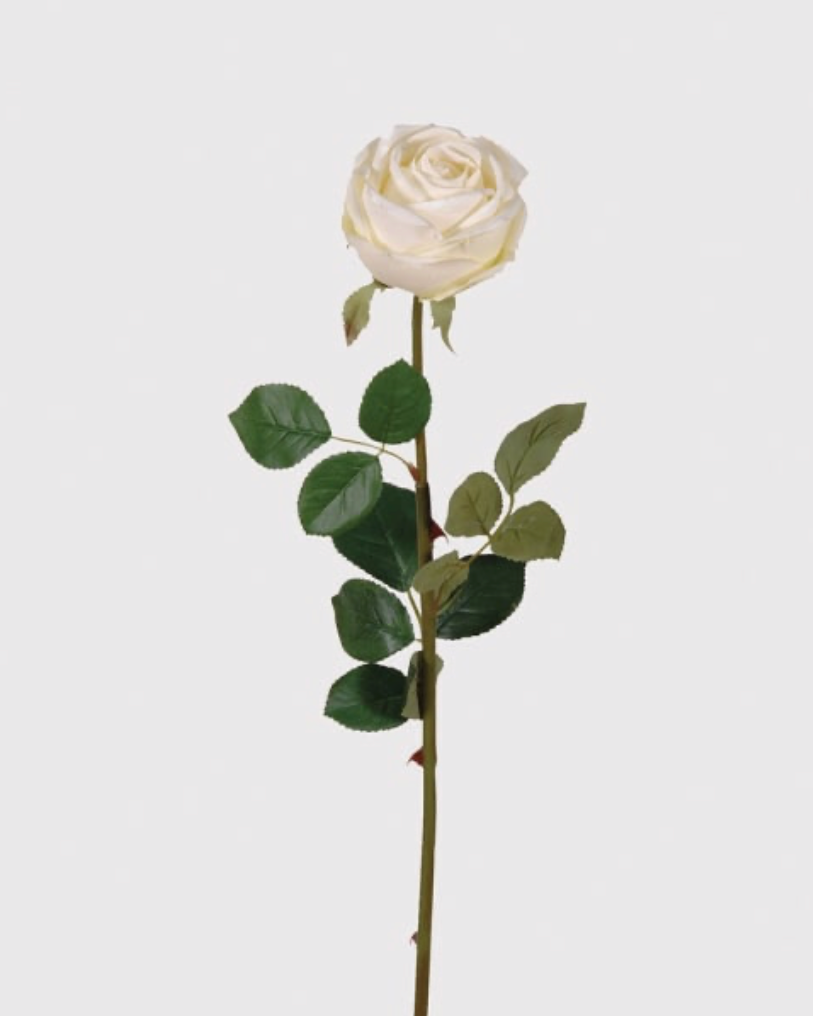 White Rose Vienna with Leaves