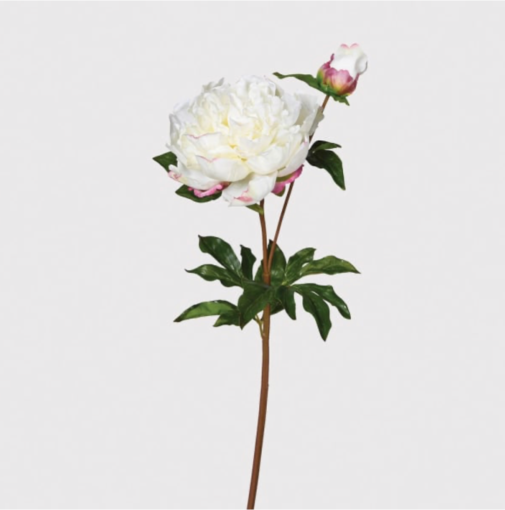 White 'real feel'Peony With Bud