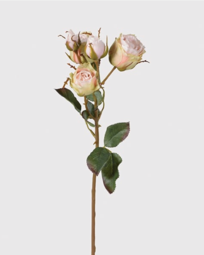 Soft Pink Vintage Rose Spray with Leaves