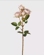 Oyster Vintage Rose Spray