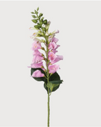 Pink Foxglove Spray With Leaves