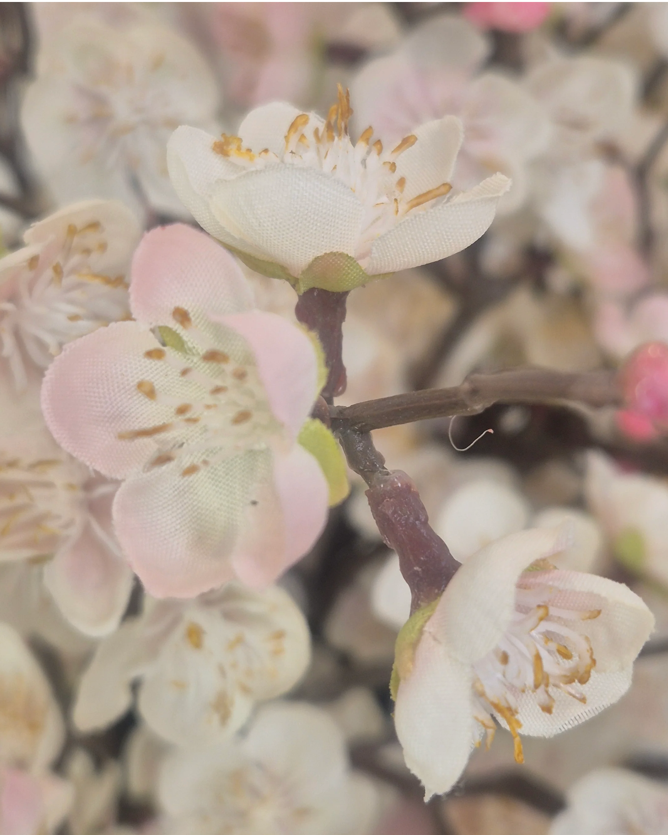 Blush Plum Blossom Spray