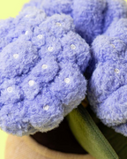 Amuseables Hydrangea