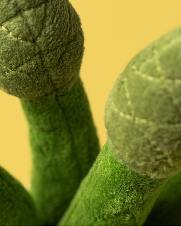 Amuseables Asparagus