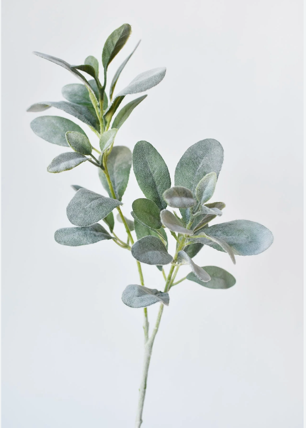 Faux Lambs Ear Spray