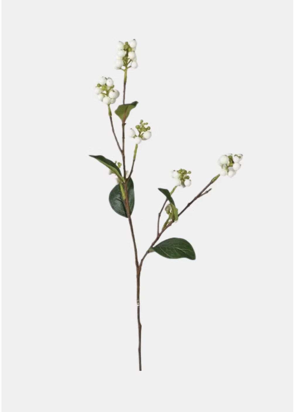 Cream Snowberry Spray