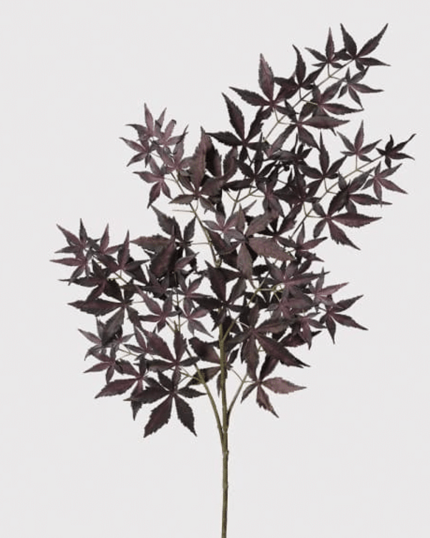 Black Acer Maple Spray