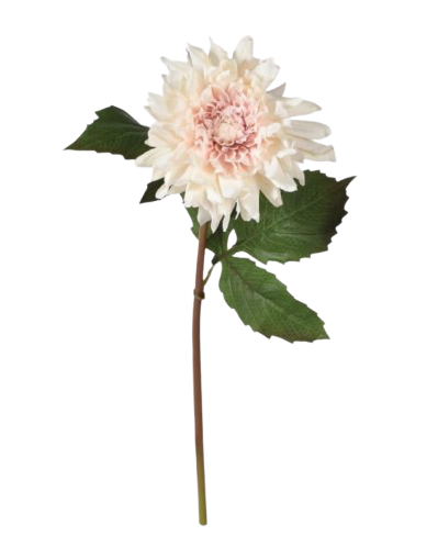 Blush Real Feel Dahlia with Leaves
