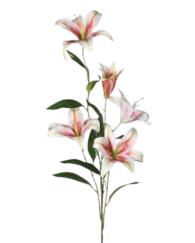 Pink Stargazer Lily Spray with Leaves
