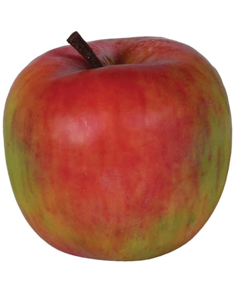 Real Feel Fiji Apple