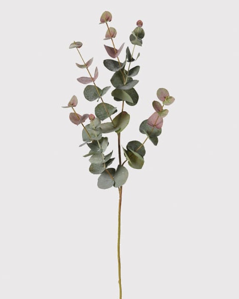 Natural Blush Eucalyptus Spray